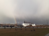 Rainbow, February 2020