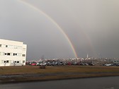 Rainbow, February 2020