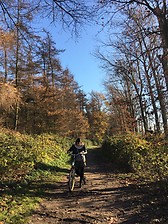 Reserva Natural Bourgoyen-Ossemeersen