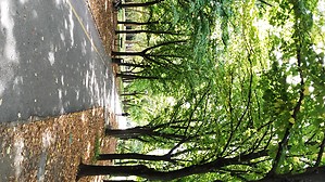 Rímini en otoño