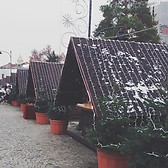 Stefan cel Mare Boulevard