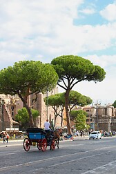Streets of Rome