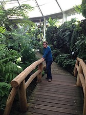 The botanical garden in Berlin