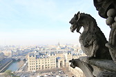 The monster on the top of Notre-Dame Paris
