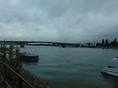 The Rhine 6