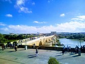 The Roman bridge