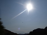 The Sun