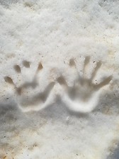 This is my hand impressions that I left on the mountains.