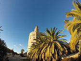 Torre del Oro 