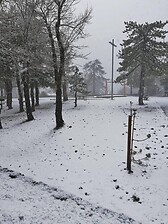 Troodos square