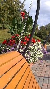 Una plaza en Jyväskylä