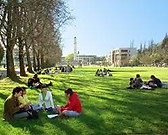 Universidad de Concepcion