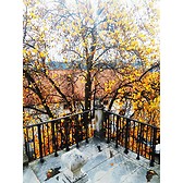 University of Coimbra