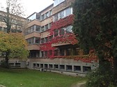 Upsud in fall