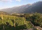 Valtellina