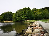 Vejle River