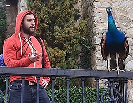 Jaime Fernandez Estevez