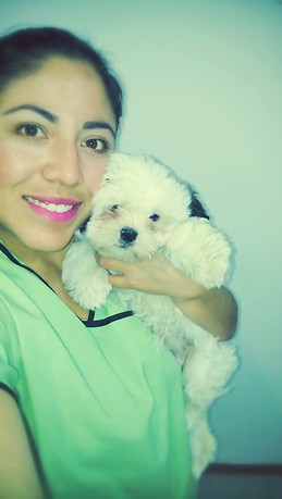 berenice bravo toribio