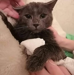 Сергей Емельянчик