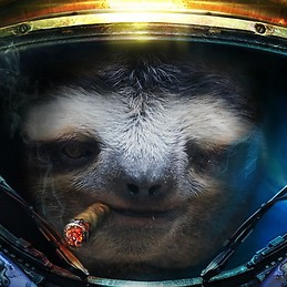 Sloth 