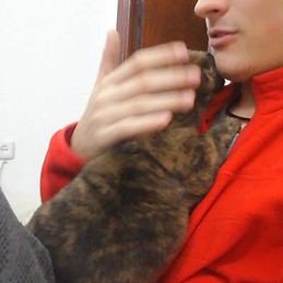 Alejandro Gómez Arzua