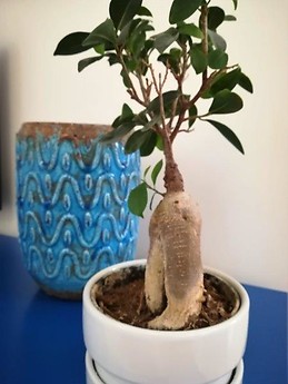 Lisbon Stylish Sky View Studio Peaceful surrounded