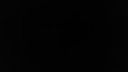 Anouk Van Wassenhove