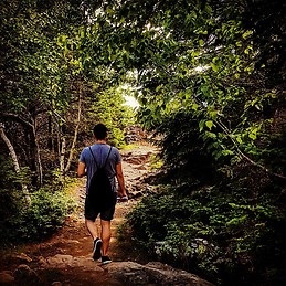 Звезделин Димитров