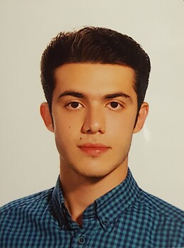 Amirhossein Soltanveys