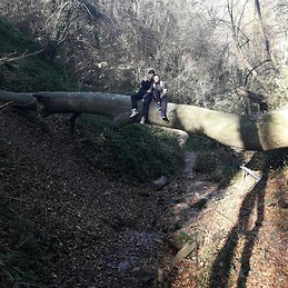 Горан Жакула