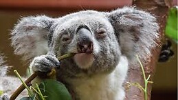 Fernando Hernandez Moreno