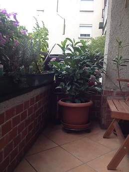 Charming 56m2 apartment in Budapest's 2nd district with balcony,