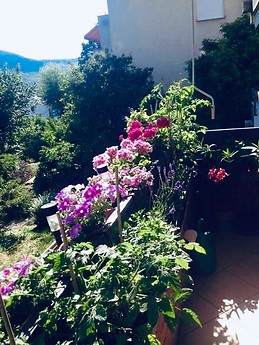 Charming 56m2 apartment in Budapest's 2nd district with balcony,