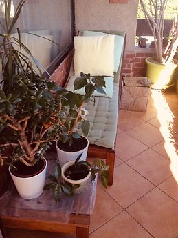 Charming 56m2 apartment in Budapest's 2nd district with balcony,