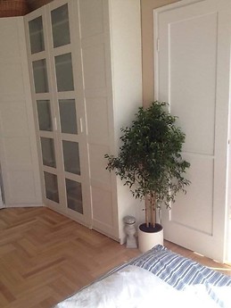 Charming 56m2 apartment in Budapest's 2nd district with balcony,