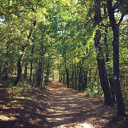 Charming 56m2 apartment in Budapest's 2nd district with balcony,