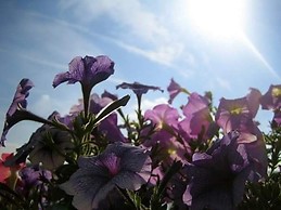 Charming 56m2 apartment in Budapest's 2nd district with balcony,