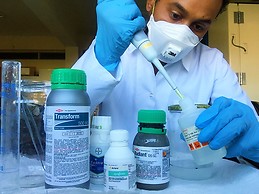 Mohammed Ahmed Mohammed