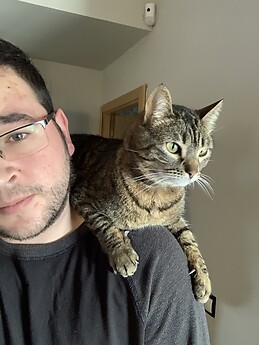 José Navalón Ruiz-Gimenez