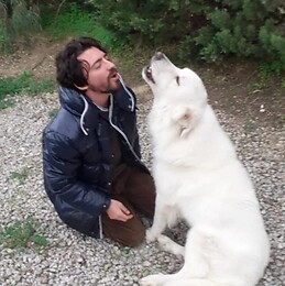 Aurelio D'Amore