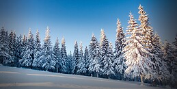 Daniel Calzada Barrio