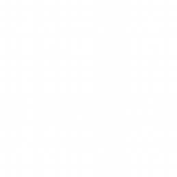 Raquel perez moliner