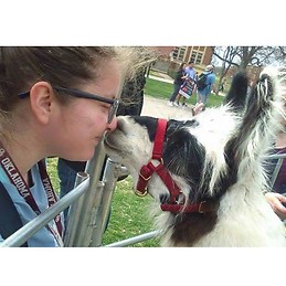 Alejandra Acuña Balbuena