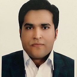 Seyed Moein Ghafoori