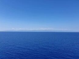 Marie-Pierre Tillieux