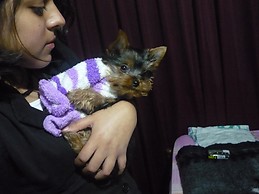 Claudia Vanessa Tello Estremadoyro