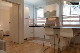 1-bedroom-apartment-rent-erzsebetvaros-2f2c5a34b80fa18d3520a7499