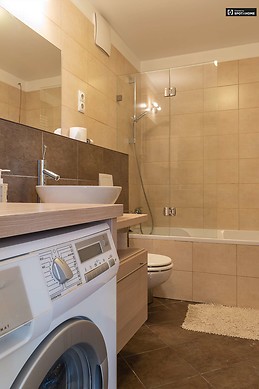 1-bedroom-apartment-rent-erzsebetvaros-4e9802a30b3572f071ae7be09