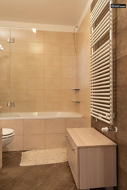 1-bedroom-apartment-rent-erzsebetvaros-6babdfd307efa3a54752814df