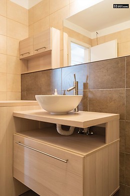 1-bedroom-apartment-rent-erzsebetvaros-812f1a012617c19117251f1e4